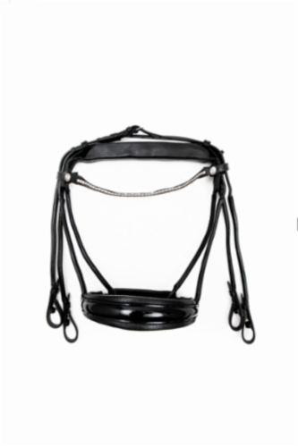 Double_Bridle_BlackLacquer_Silver.jpg&width=280&height=500